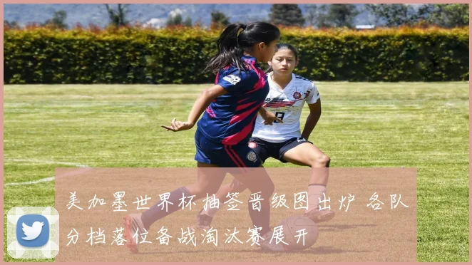 美加墨世界杯抽签晋级图出炉 各队分档落位备战淘汰赛展开