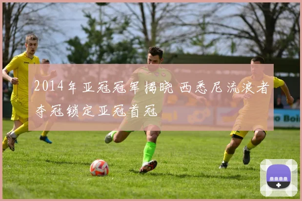 2014年亚冠冠军揭晓 西悉尼流浪者夺冠锁定亚冠首冠