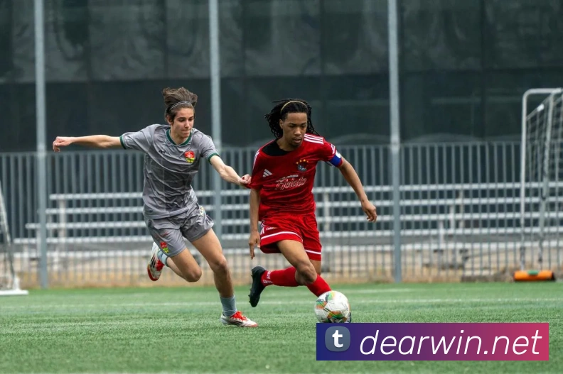 星空体育(中国)官方网站服务体系